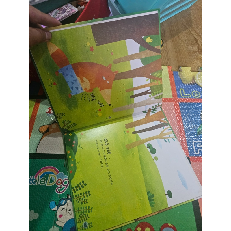 Sách học tiếng Hàn bìa cứng In màu như hình  418795