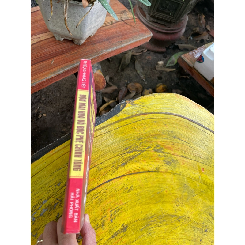 ĐỘN MAI HOA VÀ BỘC PHẾ CHÍNH TÔNG 473582