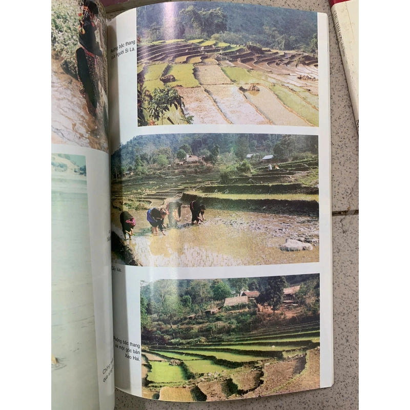 NGƯỜI NÙNG - NGƯỜI THÁI- NGƯỜI GIA RAI- NGƯỜI KHƠ MÚ- NGƯỜI SI LA- NGƯỜI CO (COMBO 6 CUỐN) 501696