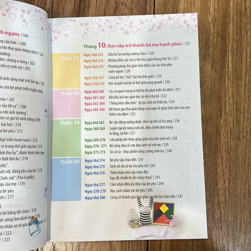 Thai giáo theo chuyên gia - 280 ngày 799624