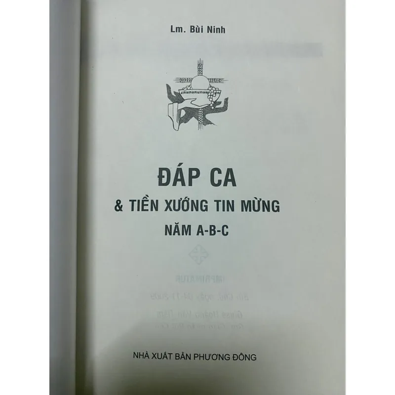 Thánh ca: Đáp ca và tiền xướng Tin Mừng năm A B C - Lm. Bùi Ninh 734652