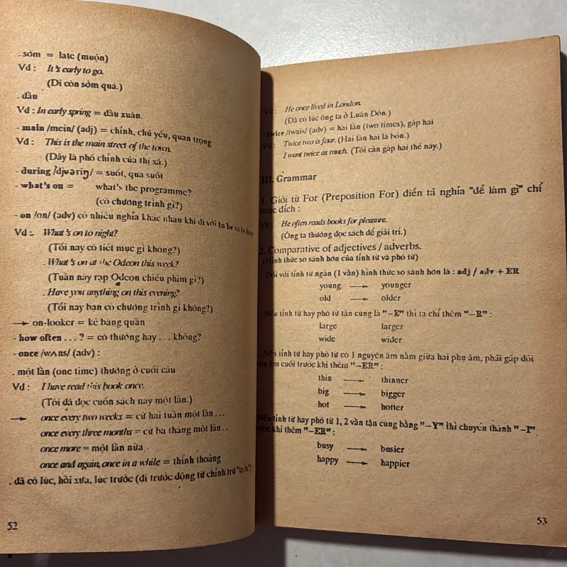 Hướng dẫn học Tiếng Anh lớp 8 C.C.G.D - 1991s 791957