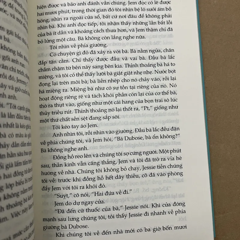 Giết chết chim nhại 1002539