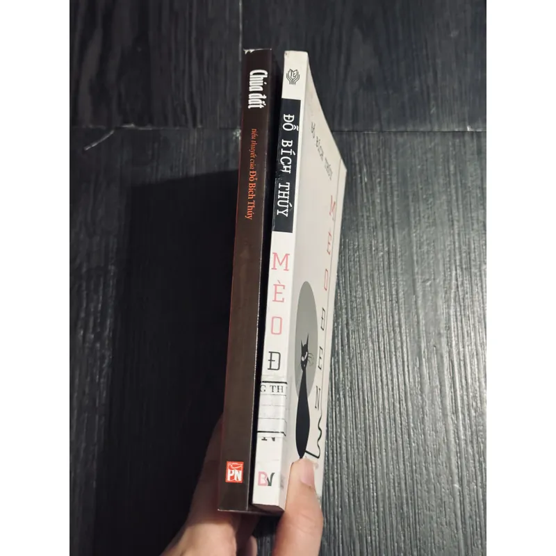 Combo 2c Đỗ Bích Thuý 684423