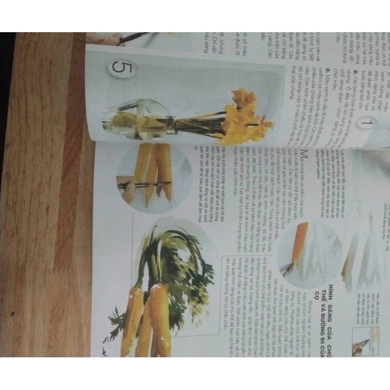 Học vẽ tranh màu nước 548970