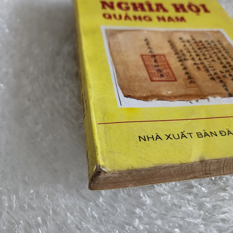 Phong trào nghĩa hội Quảng Nam | Nguyễn Sinh Duy | 1996 463808
