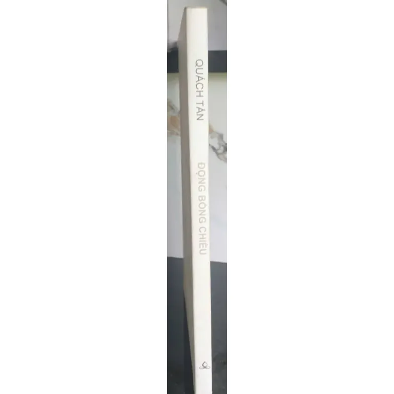 Đọng Bóng Chiều 697557