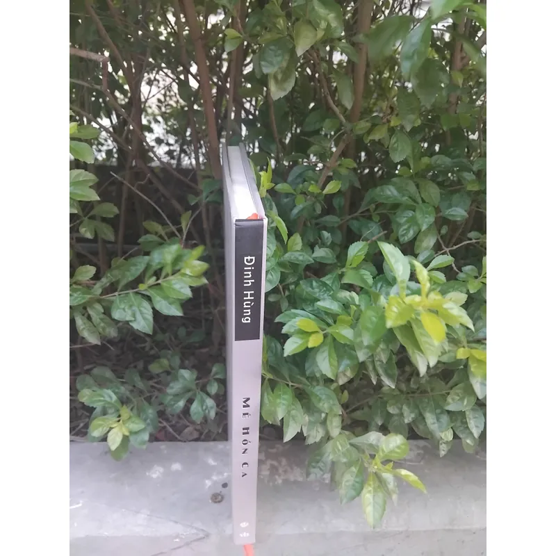 Mê hồn ca thơ Đinh Hùng  731910