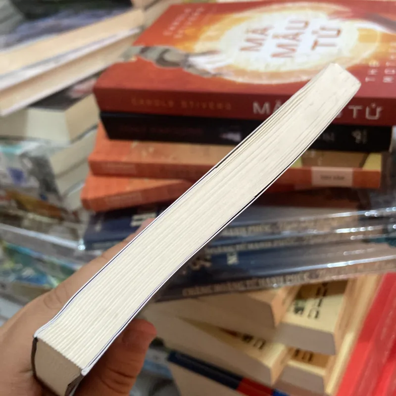 (Trinh thám) - Người con - Georges Simenon 1003065