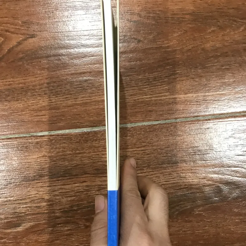 Hoàng Tử Bé - Bùi Giáng  (6) 974552