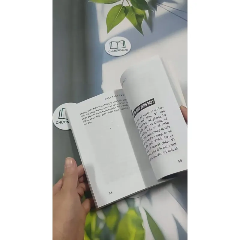 Phật Giáo Là Gì? 715592