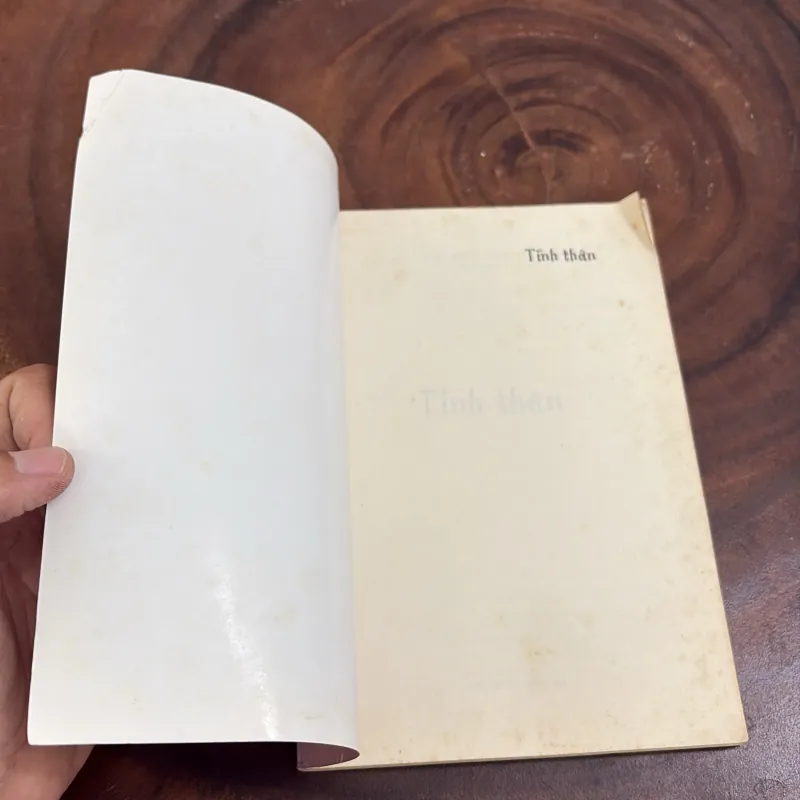 II Văn Học: Tình Thân - Thái Nguyễn Bạch Liên - 2004 1010416