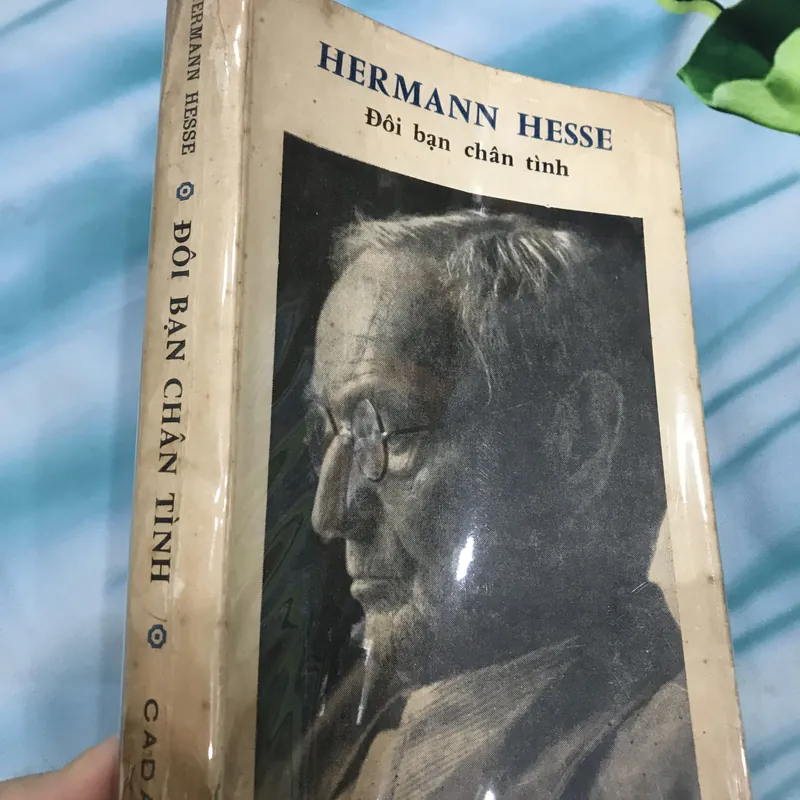 Đôi bạn chân tình - Hermann Hesse 591277