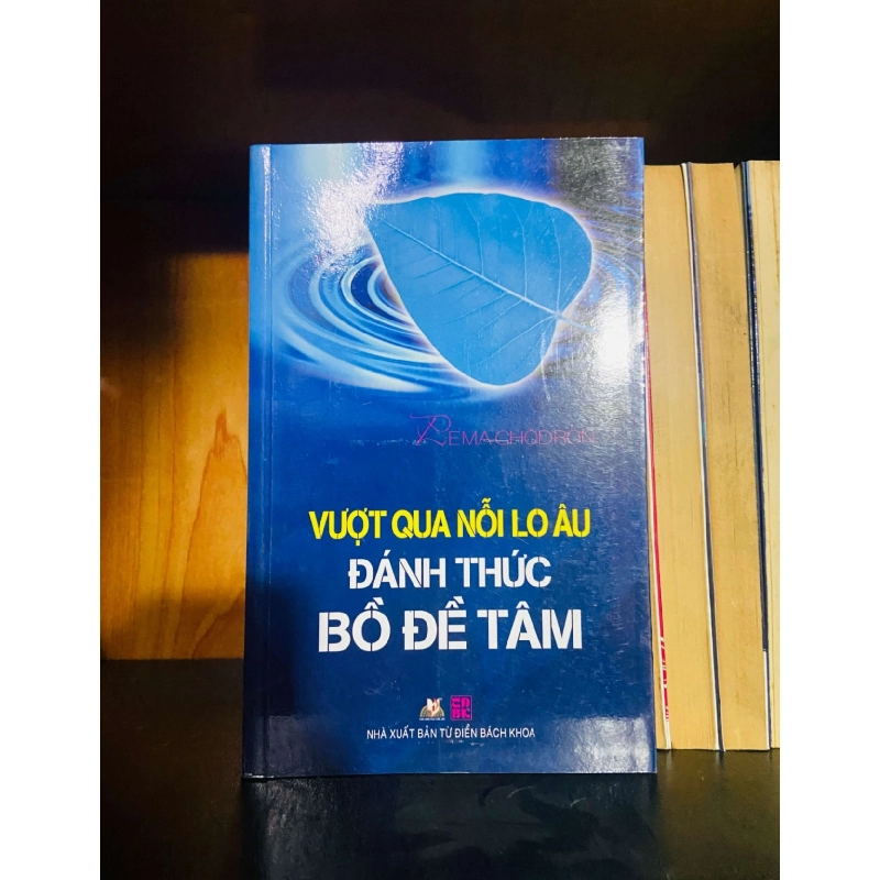 Vượt qua nỗi lo âu đánh thức Bồ Đề Tâm Vanvosach 725877