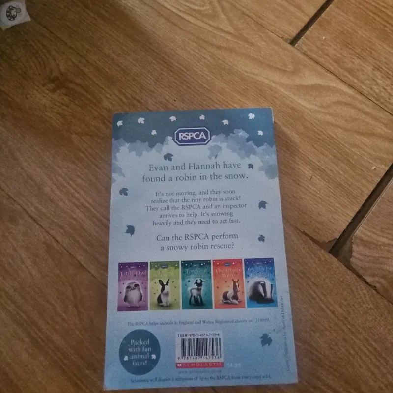 A snowy Robin Rescue Giá 20k  604037