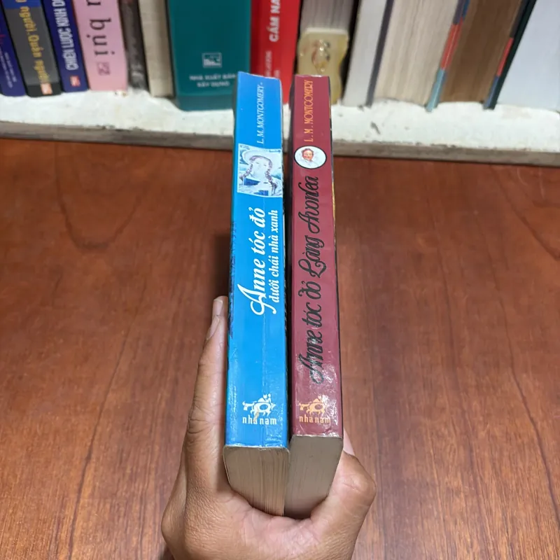 II Văn Học: Anne Tóc Đỏ _ Dưới Chái Nhà Xanh Và Làng Avonlea - L.M. MONTGOMERY - 2014 801116