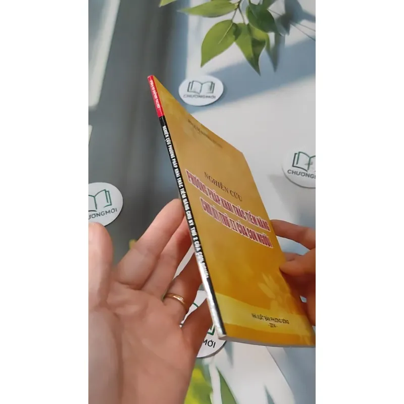 Nghiên Cứu Phương Pháp Khai Thác Tiềm Năng Chu Kỳ Thứ 2 Của Con Người - Phạm Đình Nghi 727276