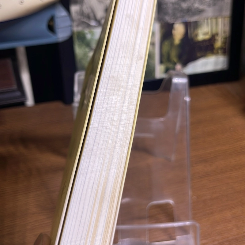 Ngược dòng tiền kiếp Shelley A. Kaehr 504865