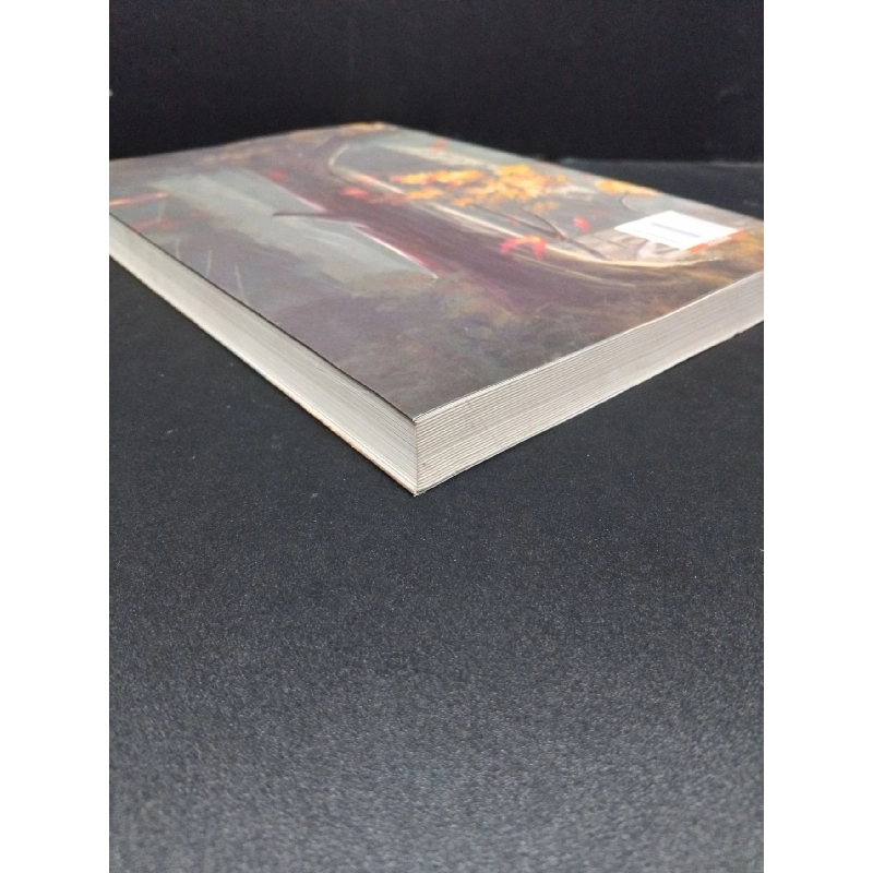 999 Bức thư viết cho bản thân mới 90% bẩn nhẹ 2018 HCM1406 Nguyễn Việt Dũng SÁCH VĂN HỌC 915435