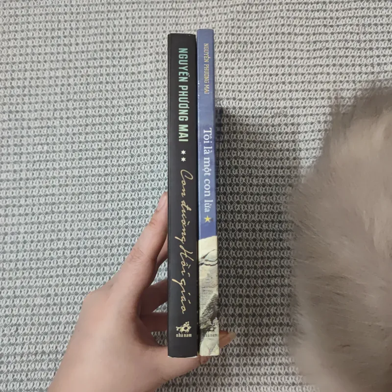 Con đường hồi giáo - Tôi là một con lừa - Nguyễn Phương Mai 1030326