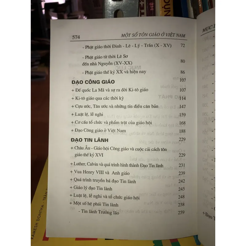 Một số tôn giáo ở Việt Nam - Nguyễn Thanh Xuân 730738