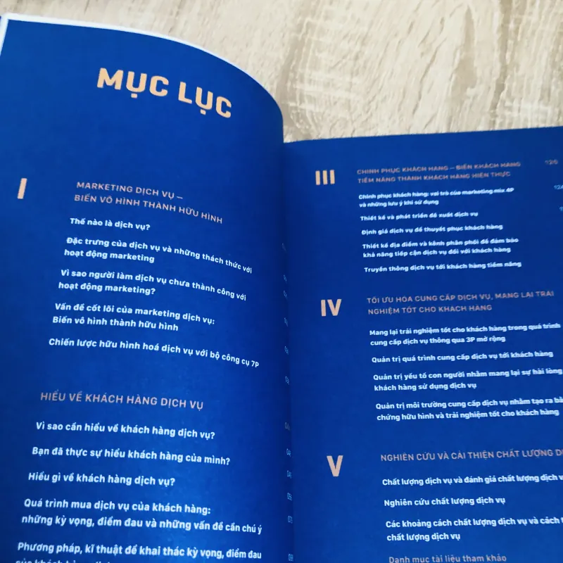 KINH DOANH DỊCH VỤ TẠI VIỆT NAM 1003945