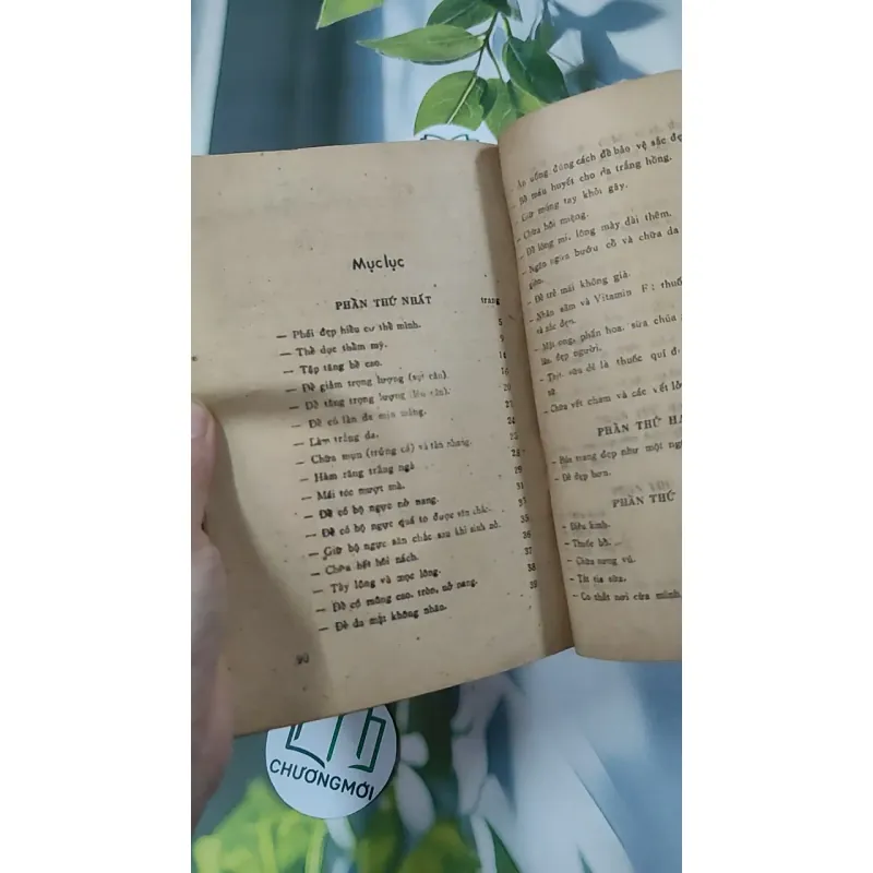 [XƯA] Cẩm Nang Của Người Phụ Nữ Đẹp (1989) - Phan Kim Huệ 776023