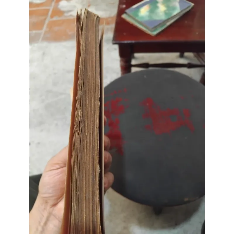 Đuốc thiêng trong sa mạc ( Death comes for the archbishop ) của Wlla Cather 1002614