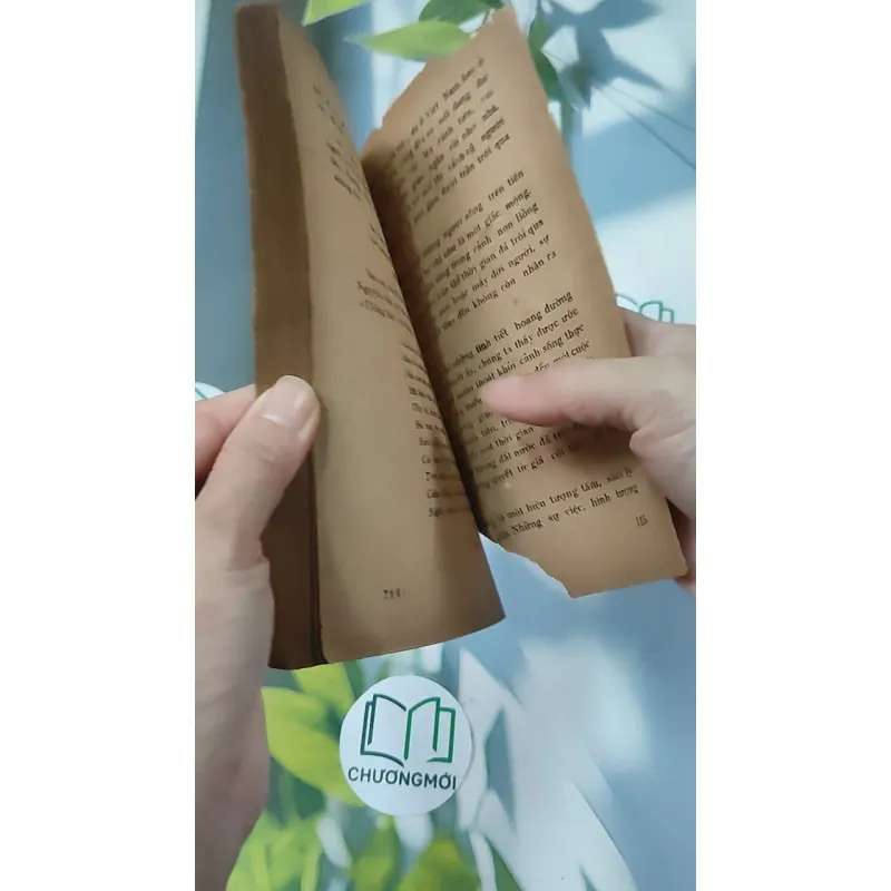 [XƯA] Mộng Du - Huyền Thoại & Hiện Thực (1988) - Phạm Hổ 776011