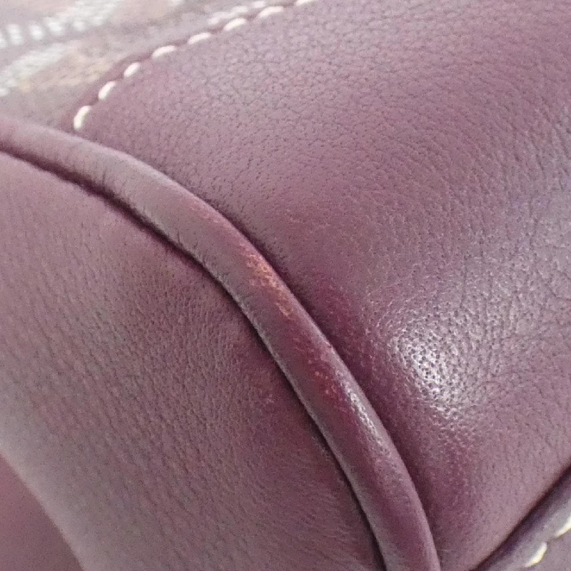 Túi Goyard Sài Gòn - Hàng hiệu Chính hãng 770855