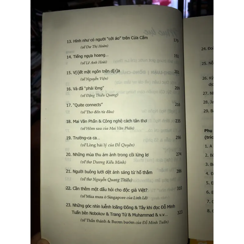 Dị nghị luận đồng chân dung - Đặng Thân 1029638