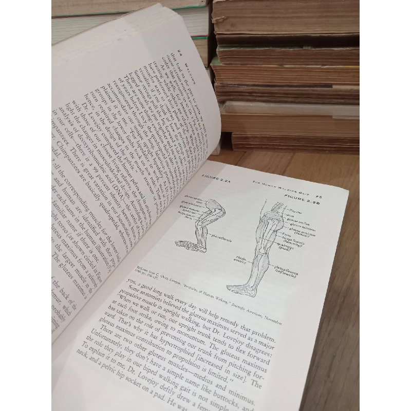 Walking: A complete guide to the complete exercise - Casey Meyers 789100