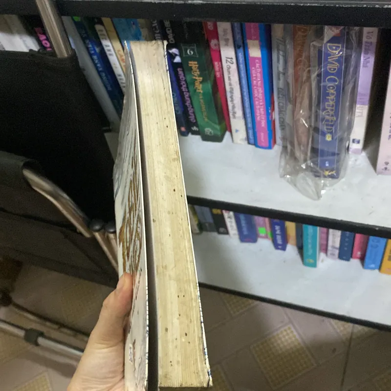 Tobie Lolness đôi mắt Elisha  716606