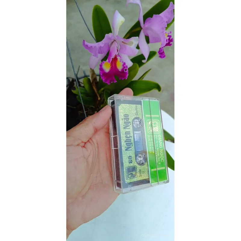 Băng Cassette Nhạc Nghẹn Ngào  957100