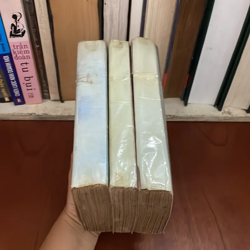 II Sách Xưa: Hai Mươi Năm Sau (Trọn Bộ 3 Cuốn) - ALÊCHXĂNG ĐUYMA - 1987 589109