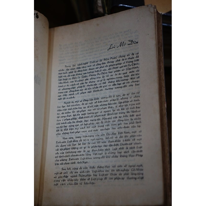 Hình Luật Đặc Biệt - Hà Như Vinh luật khoa tiến sĩ 125797