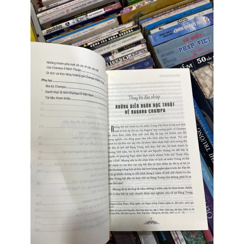 NAGARA CHAMPA: NHỮNG PHÁC THẢO VỀ LỊCH SỬ VÀ NỀN VĂN MINH - ĐỔNG THÀNH DANH  976409