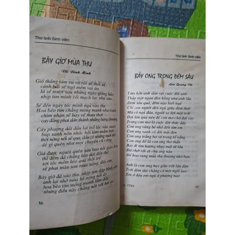 Thơ Tình Sinh Viên 1018665