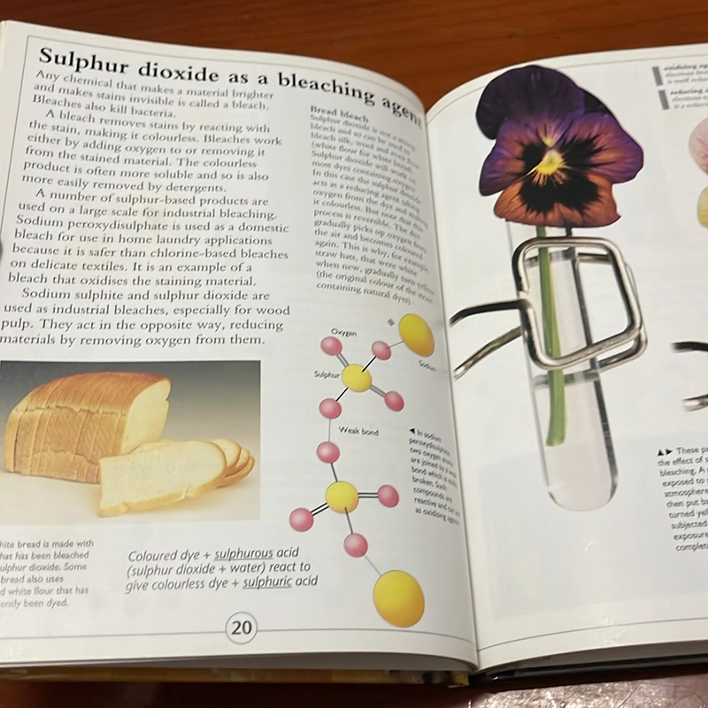 PICTURE BOOK Sulphur 536344