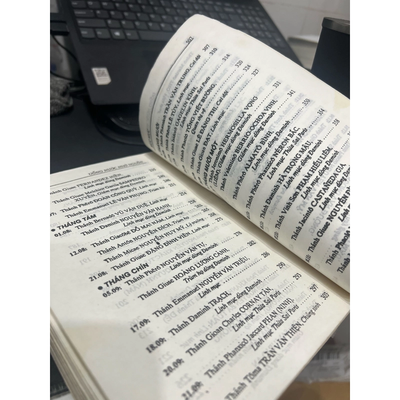 Thiên Hùng Sử - 117 Hiển thánh tử đạo Việt Nam 499203