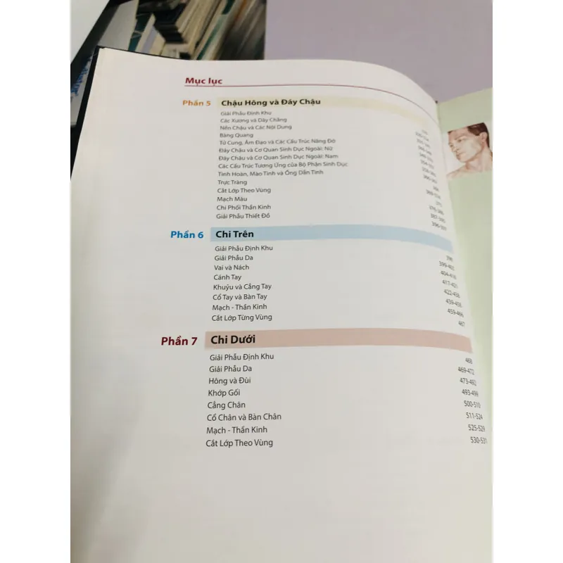 ATLAS GIẢI PHẪU NGƯỜI 6 695043