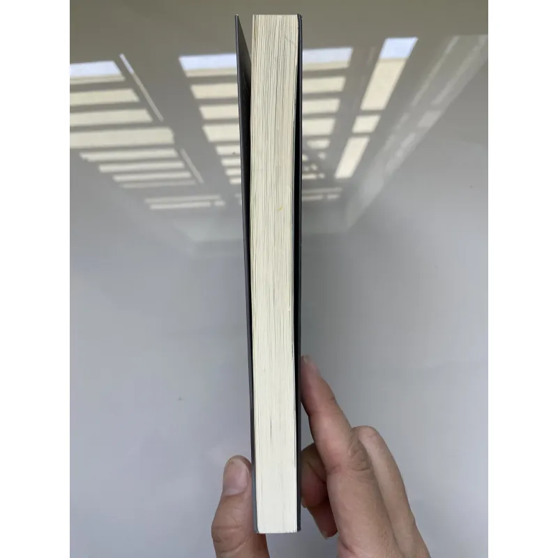 Không có chỗ cho những giấc mơ nhỏ - Shimon Peres , đã qua sử dụng 747859