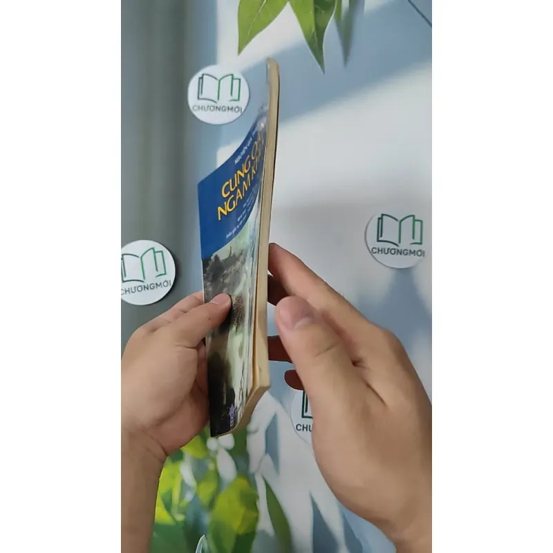 Cung oán ngâm khúc bằng tranh - Nguyễn Gia Thiều 798371