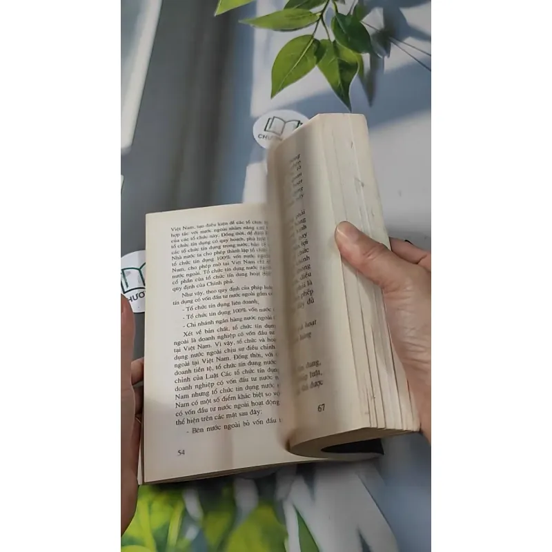 Giáo Trình Luật Ngân Hàng Việt Nam 727229