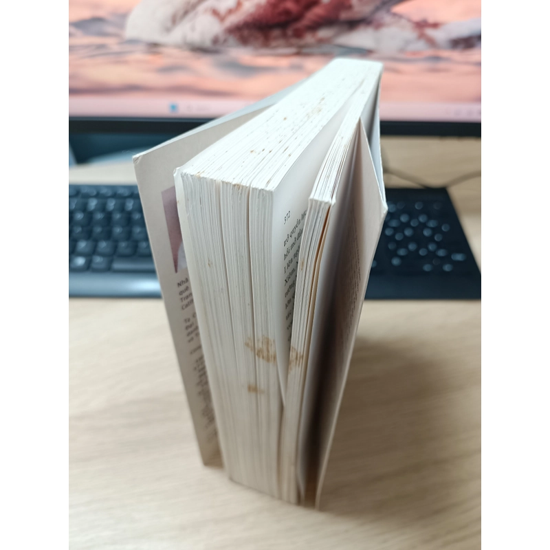Lịch sử nội chiến ở Việt Nam từ 1771 đến 1802 443865