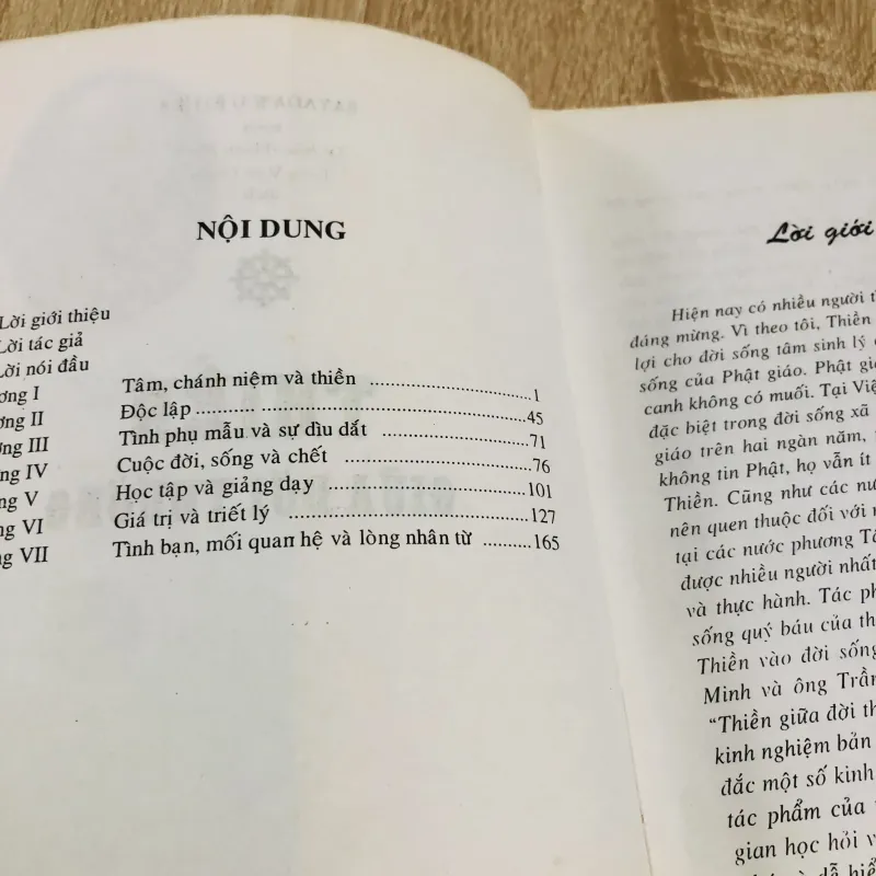 THIỀN GIỮA ĐỜI THƯỜNG  1007274