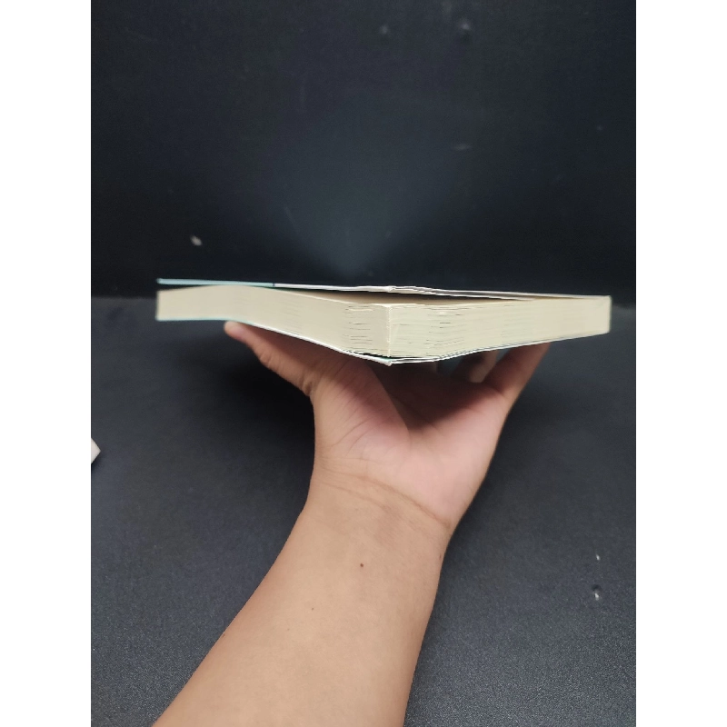 Đầu Tư Hiệu Quả mới 90% bẩn nhẹ 2021 HCM2606 Mark Dampier KỸ NĂNG 916019