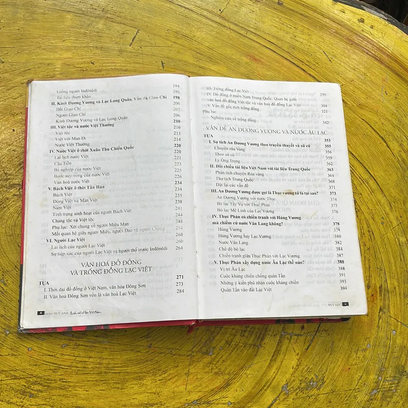 LỊCH SỬ CỔ ĐẠI VIỆT NAM- ĐÀO DUY ANH 689634