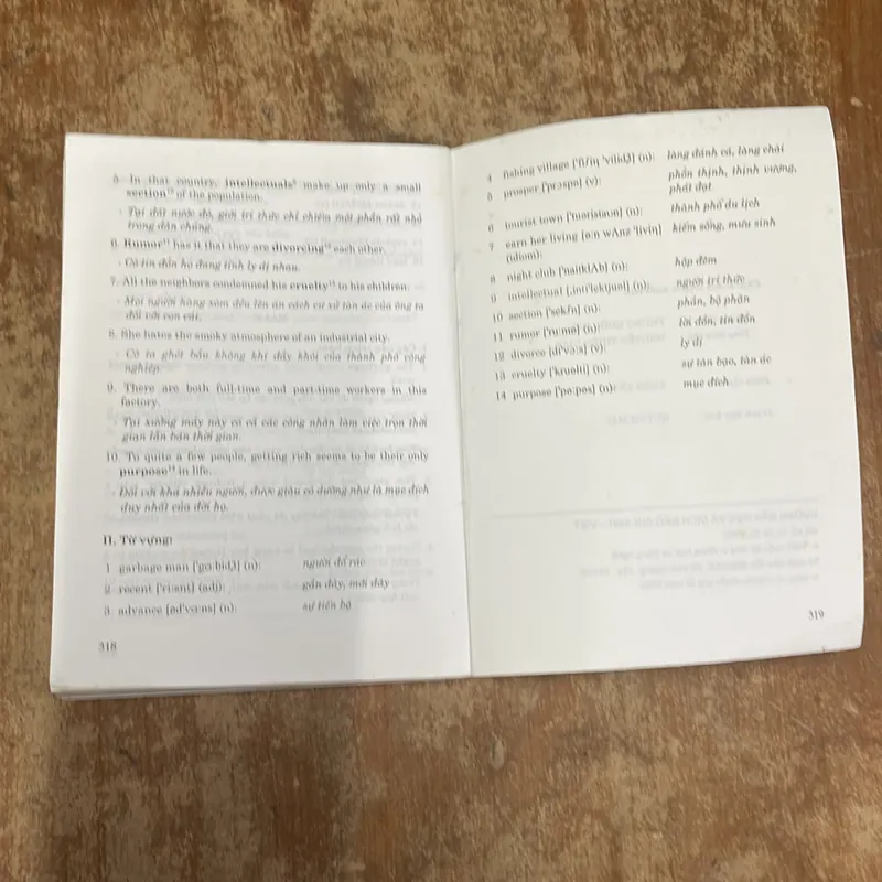 HƯỚNG DẪN ĐỌC VÀ DỊCH BÁO CHÍ ANH VIỆT- CẨM NANG LUYỆN VIẾT TIẾNG ANH COMBO 698403