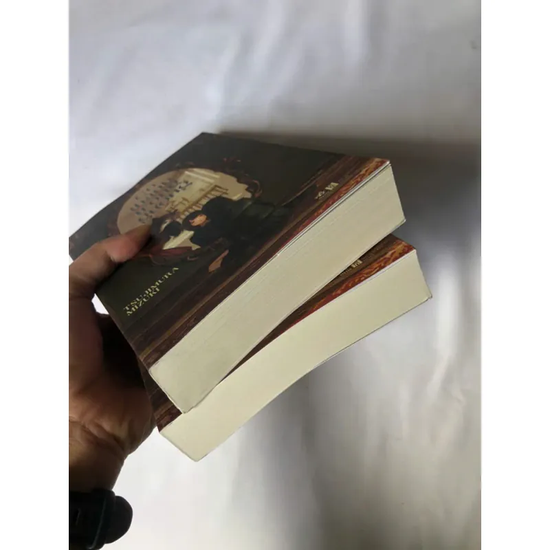 Cô Thành Trong Gương - Tsujimura Mizuki 799490